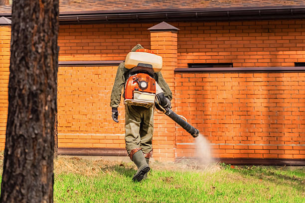 Trusted Rodent Control service in Pines Lake, NJ - Nex Pest Control